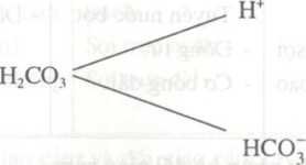 cau20220sinh20820bai2049