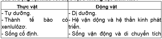 cau20820bai20220sinh20hoc2010