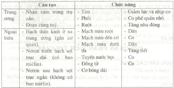 cau20tao20va20chuc20nang20cua20phan20he20doi20giao20cam