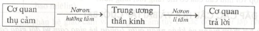 so20do20cung20phan20xa20van20dong
