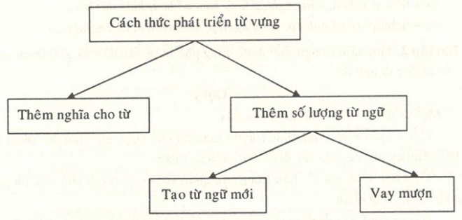 su20phat20trien20cua20tu20vung20tiep20theo